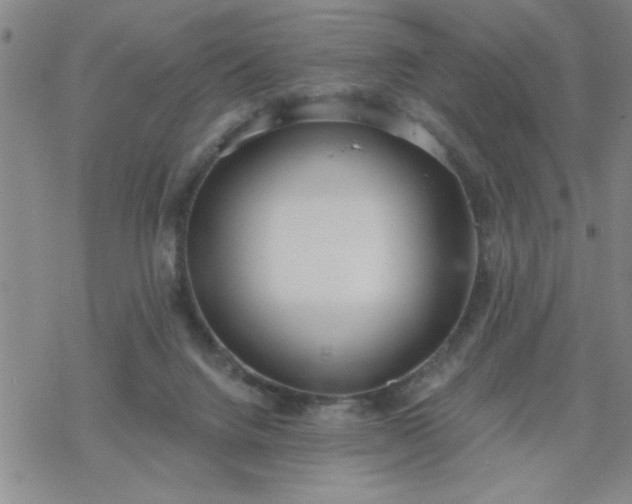 X0000069360072200605192109