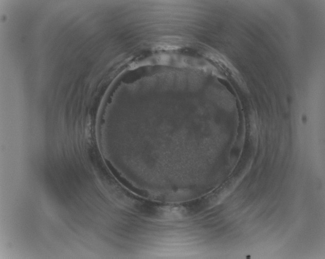 X0000069360073200605192109