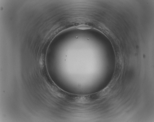 X0000069360074200605192109