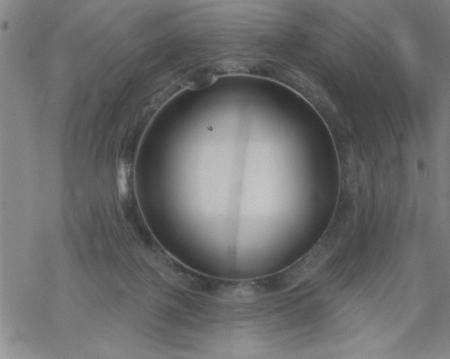 X0000069360075200605192109