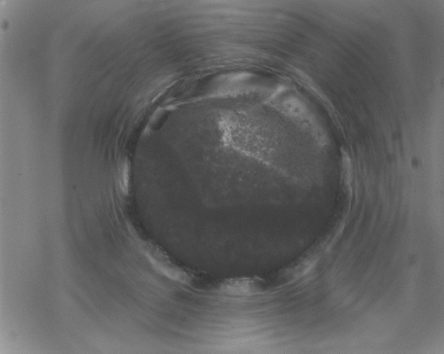 X0000069360076200605192109