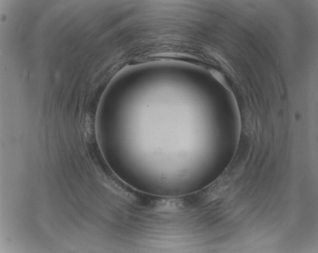 X0000069360077200605192109