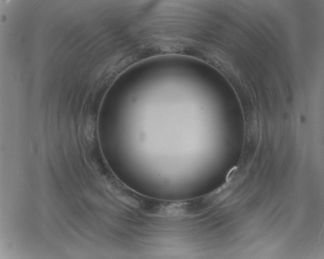 X0000069360078200605192109