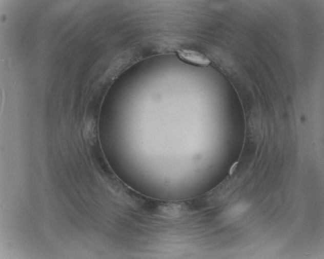 X0000069360079200605192109