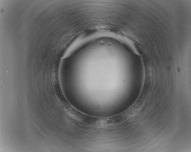 X0000069360080200605192109