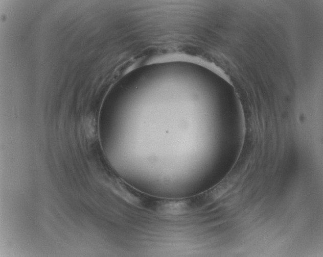 X0000069360081200605192109