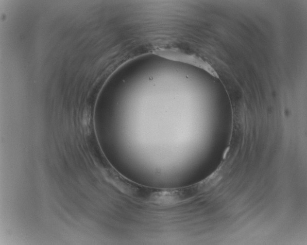 X0000069360082200605192109