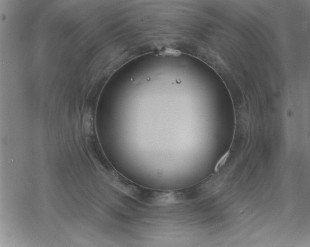 X0000069360083200605192109