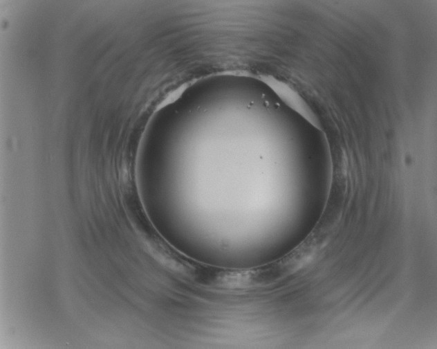 X0000069360084200605192109