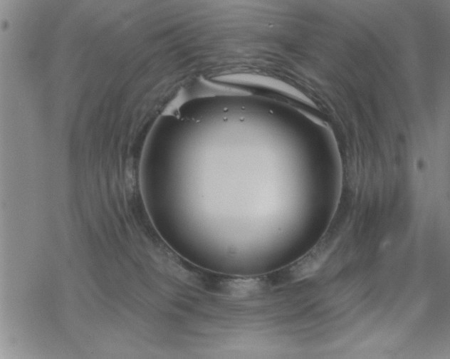 X0000069360085200605192109