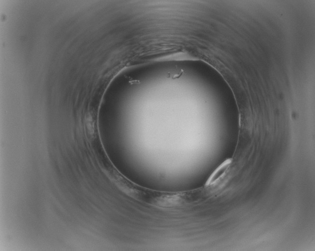 X0000069360086200605192109