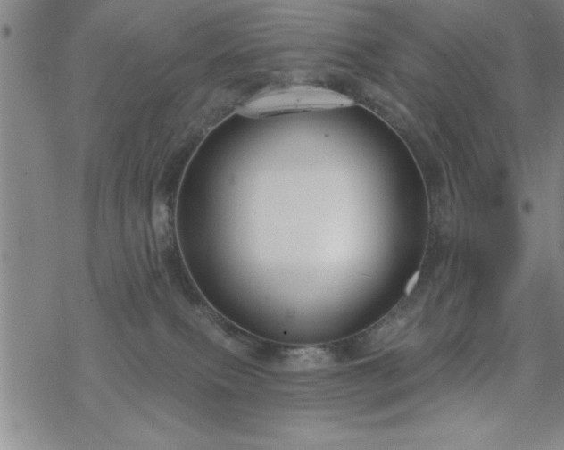 X0000069360087200605192109