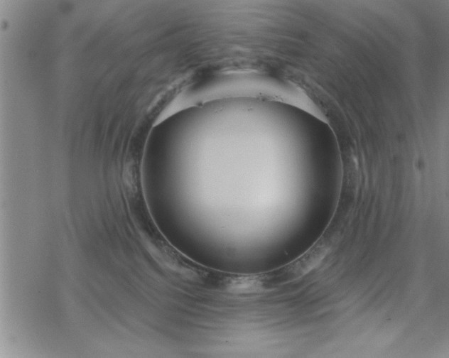 X0000069360088200605192109