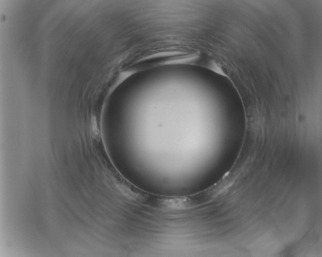 X0000069360089200605192109