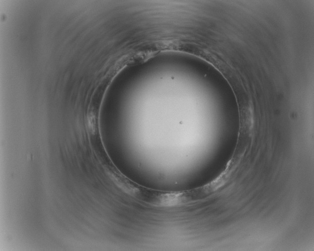 X0000069360090200605192109