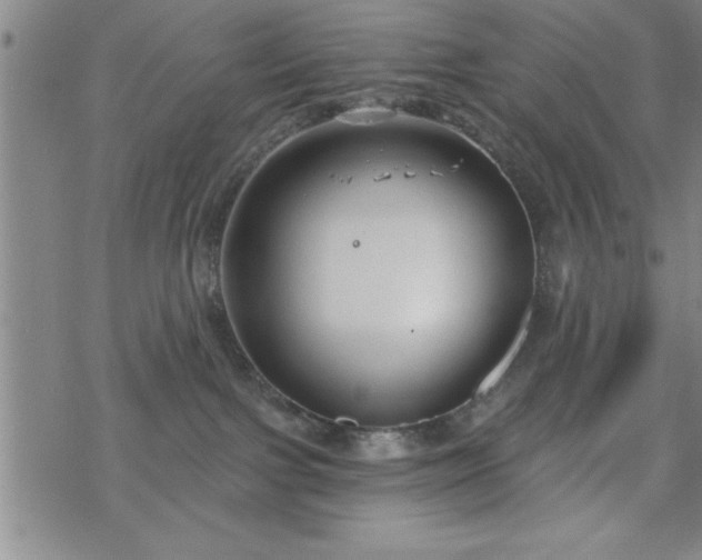 X0000069360091200605192109