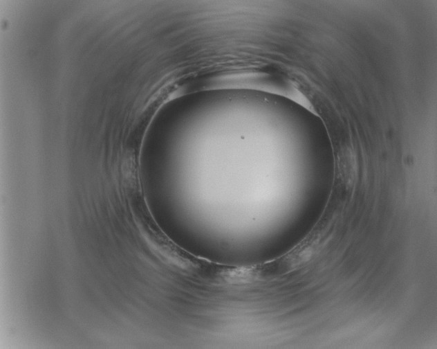 X0000069360092200605192109