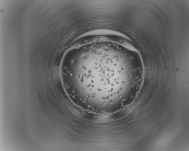 X0000069360093200605192109