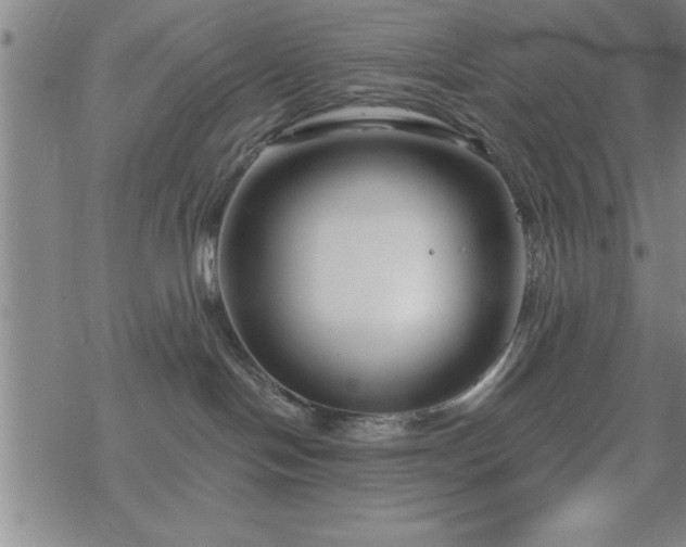 X0000069360094200605192109