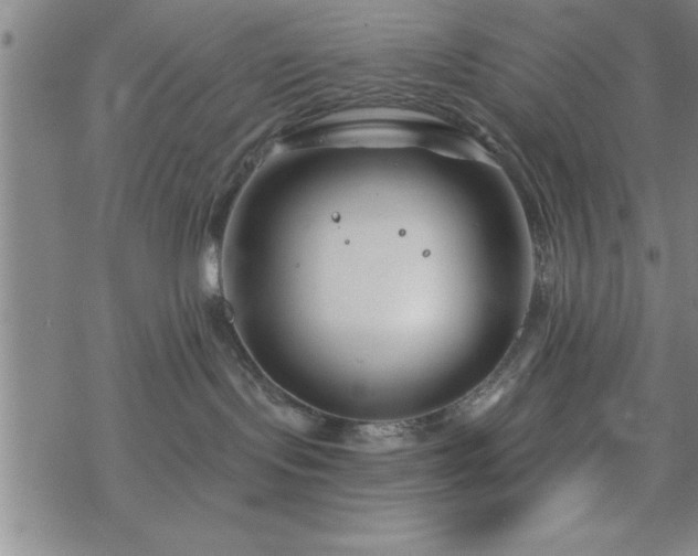 X0000069360095200605192109