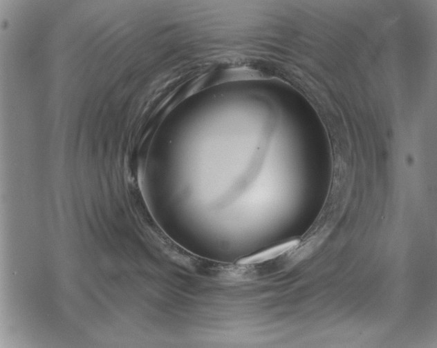 X0000069360096200605192109