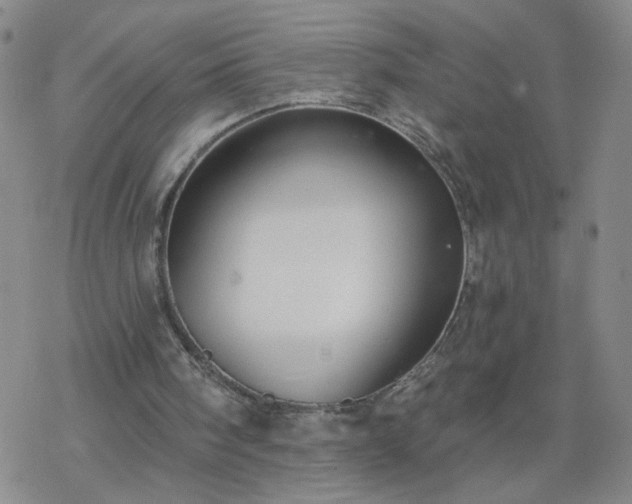 X0000069360098200605192108