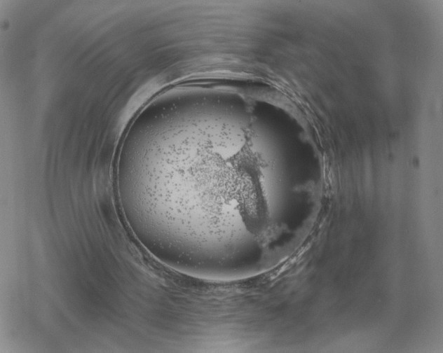 X0000069360099200605192108