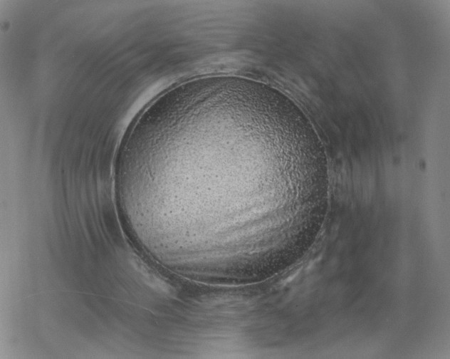 X0000069360100200605192108