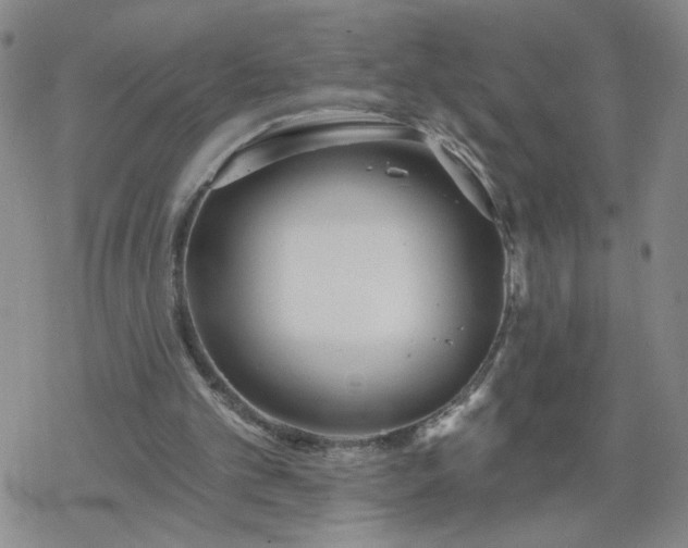 X0000069360101200605192108