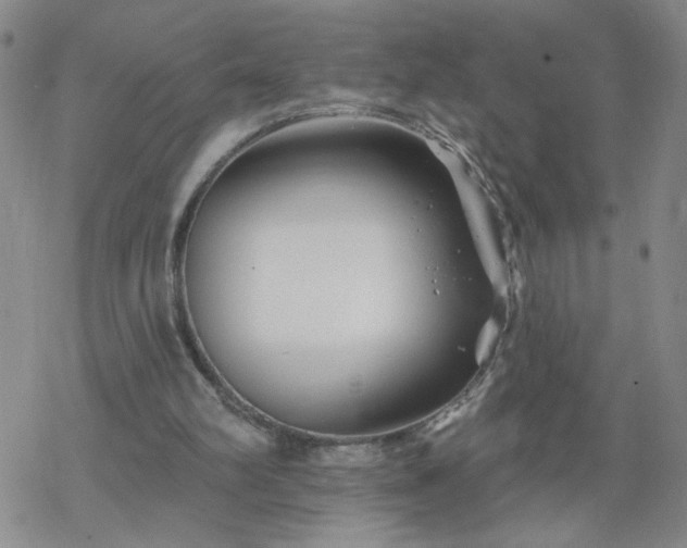 X0000069360102200605192108