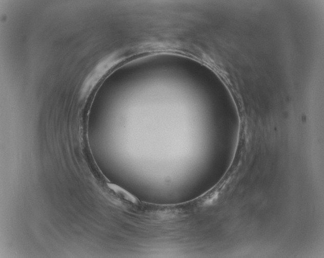 X0000069360103200605192108