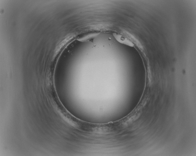 X0000069360105200605192108