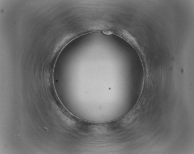 X0000069360106200605192108