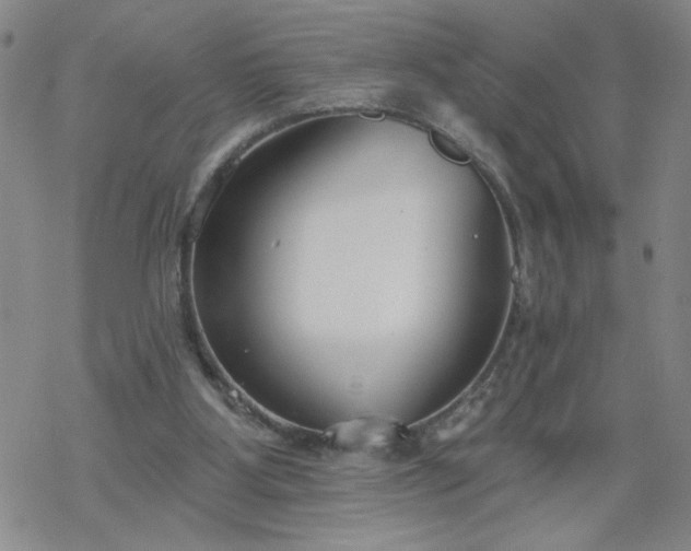 X0000069360107200605192108