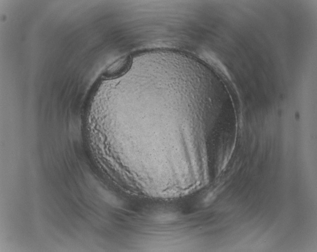 X0000069360108200605192108