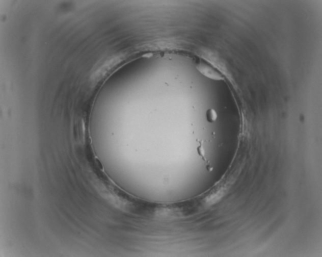 X0000069360109200605192108