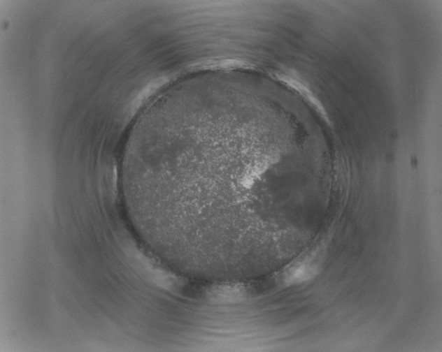 X0000069360110200605192108