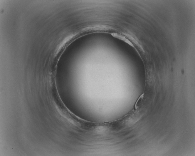 X0000069360111200605192108