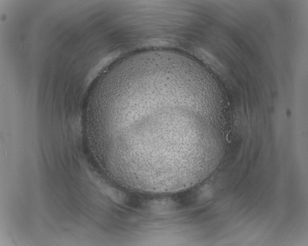 X0000069360112200605192108