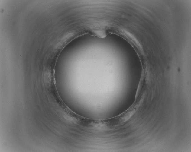 X0000069360113200605192108