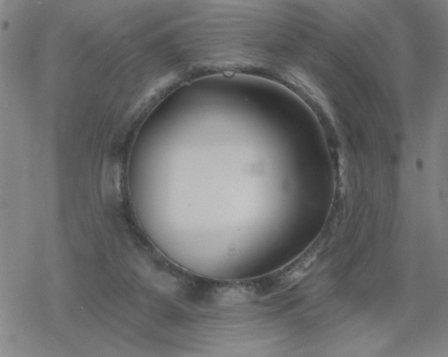 X0000069360115200605192108