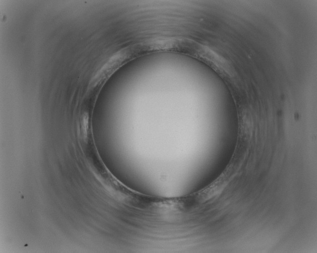 X0000069360118200605192108