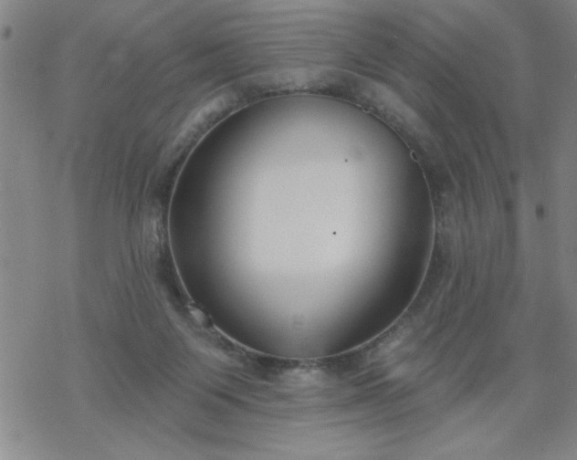 X0000069360119200605192108