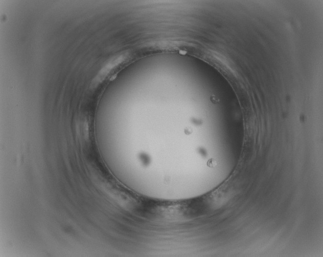 X0000069360120200605192108