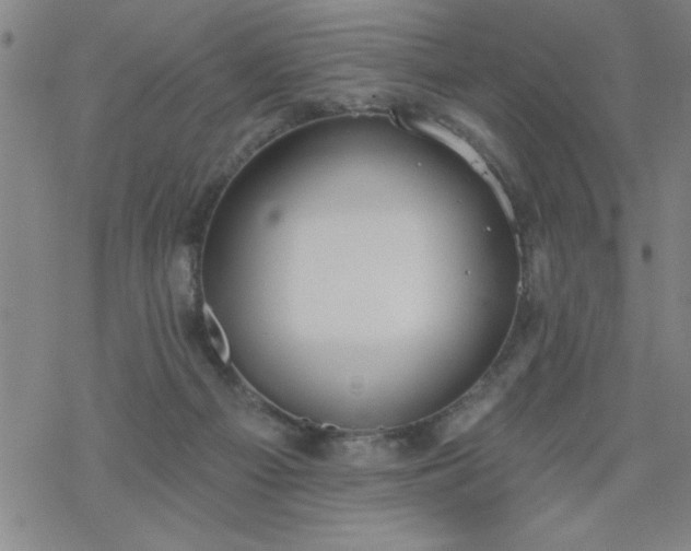 X0000069360121200605192108