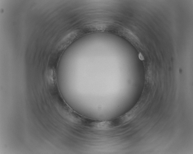 X0000069360122200605192108