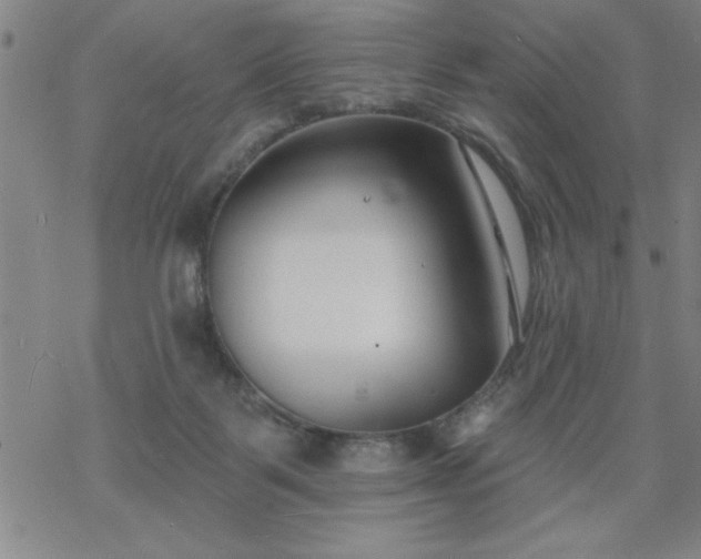 X0000069360123200605192108