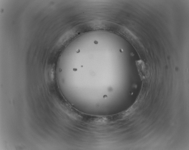 X0000069360124200605192108