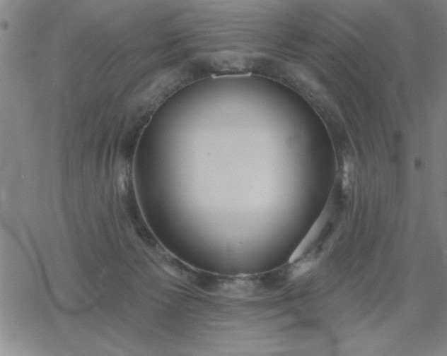 X0000069360125200605192108