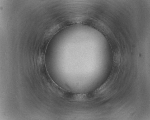 X0000069360126200605192108